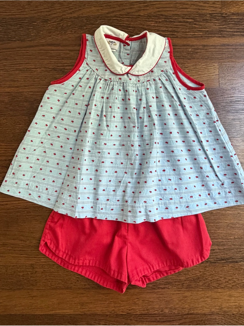 La Petite Fleur Light Blue & Red Swiss Dot Top with Red Shorts 4